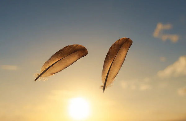 Goose Feather Pendant