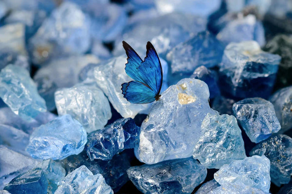 Butterfly earring