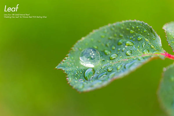 pearl drops